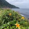 海岸の花園