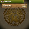 パズドラ  試練の塔　周回すれば低確率でゴーレムなどがドロップ出来るみたいです。