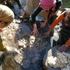 Washing wool photo