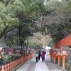 京都ｄｅお散歩　８８　円山公園の夜桜～