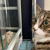 ひとやすみのお楽しみ