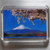 山梨 秋の富士山マグネット 【山梨県】