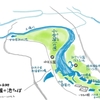 東京唯一の水郷（水元公園 小合溜）