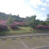 国立公園雲仙ミヤマキリシマ開花情報（第６号）