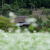 かやぶきの蕎麦