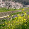 そんなにいいところ？糸島