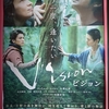【映画 Vision】感想。吉野の山奥にある精神を浄化する場所