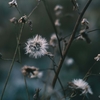 『半径100mの写真展』フォトギャラリー【2022.05.17更新】