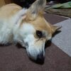 心配ですねぇ