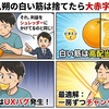 八朔の白い筋は捨てたら大赤字！