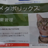 キャットフードの食レポ？