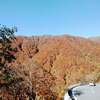 【サンタの日】今の季節がおすすめの富山のドライブコース「有峰林道」