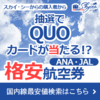 国内格安航空券販売