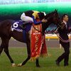 【ジャパンＣ】（東京）～出走馬１７頭、調教後の馬体重