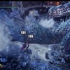 今夜は救難参加で六花が静かに眠るならで双剣とスラアクに挑戦してました：アイスボーン