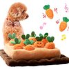 【犬用知育玩具】にんじん畑で宝探し！YCYHHWノーズワークマットで愛犬の探究心を刺激