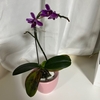 早くもGWが楽しみ♬