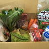 Oisix（オイシックス）のお試しセットが今なら半額以下！ぎっしり野菜や果物がつまった宅配セットが、送料無料で自宅に届きます。