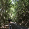 GWの海水浴場の空気はほのぼの、峠は輝きを増す：あちこちぶらぶら：ポタリング