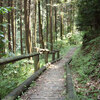 名古屋近郊おすすめトレイル７＜定光寺～高根山～山星山＞。