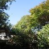 庭の様子・・・朝ごはん