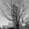 【RICOH GRⅢ・仙台市】2022年もスナップで始まりました 。Jnuary 2022
