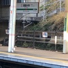 高尾に行ってきた🚞