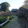 道明寺天満宮③(Last)　和合稲荷社～梅園