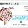 尿たんぱく陽性とは