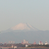 今朝は富士山に海鳥をあしらってみました！！