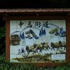 鶴里町雨沢　石仏群　中馬街道