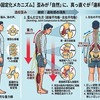 逆さぶら下がり健康器プラスアルファ成果のよろこび