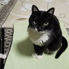 温風もいいけど抱っこもね