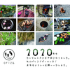 〔2020年〕年末のご挨拶
