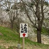 合戦場のしだれ桜