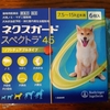 狂犬病予防接種してきました　&　ニイニイゼミの声