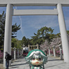 廣田神社のツツジ