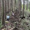 大川入山登山に挑戦。