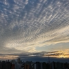 天気と空と：2020-11-26〜11-30