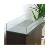 もう普通の水槽には戻れない？ＧＬＡＳＩＡ 水上育成用600で魅せる、水中×水上のデュアルビューティ
