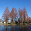 水元公園・2　東京都葛飾区水元・南水元