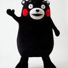 くまもん×KAN＝森高千里？