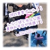 【しらこばと水上公園】子連れには安心の幼児プールから大人が楽しめる波のプールまで！ロッカールームも広くて使いやすい【子連れお出かけ】