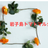 第4回　岩子島トマトマルシェ