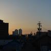 映画「PERFECT DAYS」を見てきた
