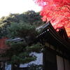 東明寺の大般若経転読法要