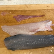 サビキ カテゴリーの記事一覧 新ぶっ込み釣りブログ