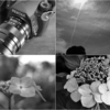 「K3III monochrome」と「Carl Zeiss Distagon T* 25mm F2.8」