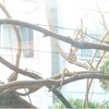 越冬と独り食事と木々の観察