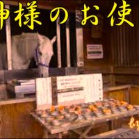 斎藤一人 超意識の閃きで願いが叶う コンクラーベ